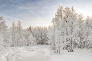 10 izgalmas dolog Finnországról
